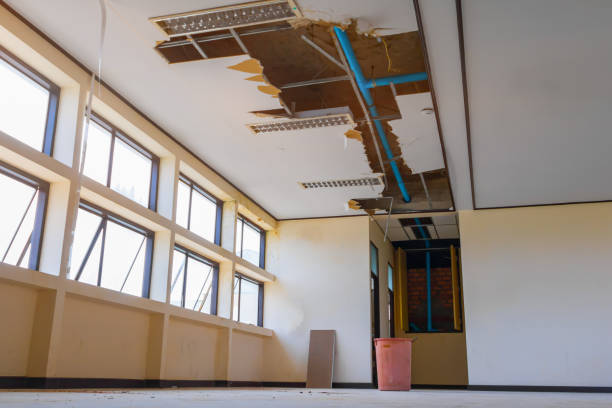 Best Ceiling water damage repair  in Pahoa, HI
