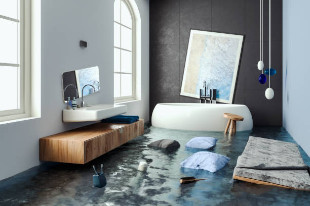 Best Water damage cleanup near me  in Pahoa, HI