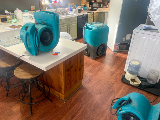 Best Flooded house restoration  in Pahoa, HI