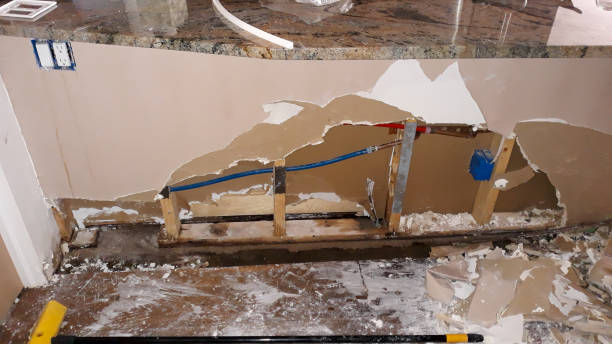 Best Water damage restoration near me  in Pahoa, HI
