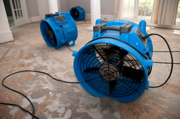 Best Flooded house restoration  in Pahoa, HI