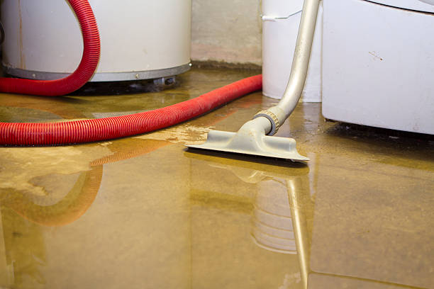 Reliable HI Water damage restoration Solutions