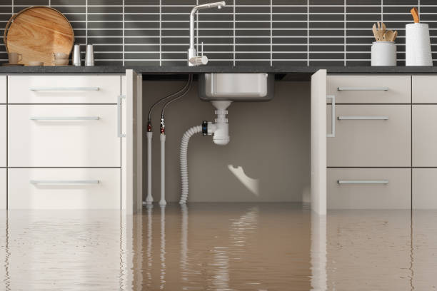 Best Residential water damage restoration  in Pahoa, HI