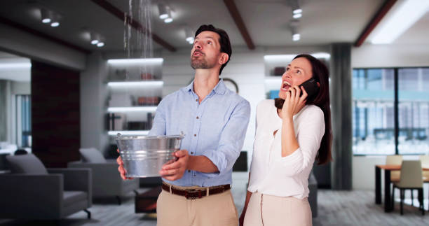 Best Basement water damage restoration  in Pahoa, HI